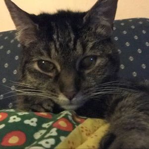 Meet your Posher, Tina